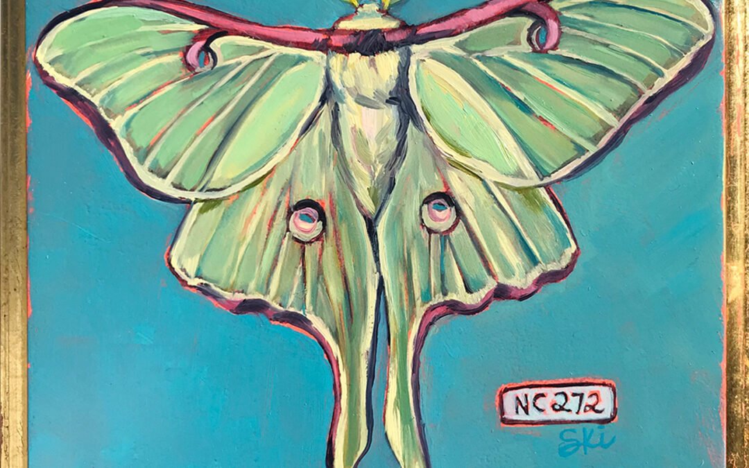 Specimen | NC 272 Luna Moth