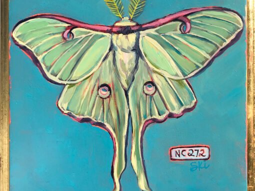 Specimen | NC 272 Luna Moth