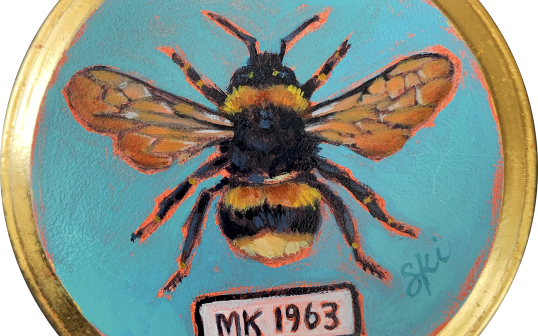 Specimen MK 1963 | Bumble Bee