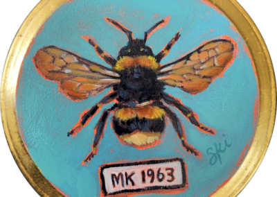 Specimen MK 1963 | Bumble Bee