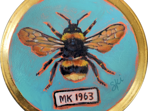 Specimen MK 1963 | Bumble Bee