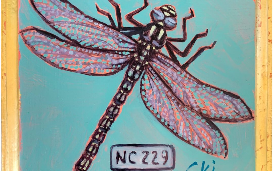 Specimen NC 229 | Dragon Fly