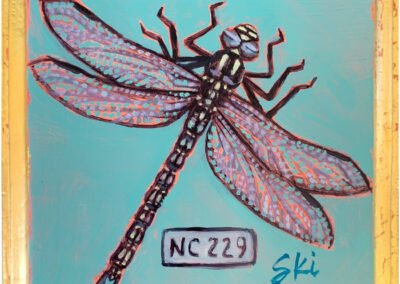 Specimen NC 229 | Dragon Fly