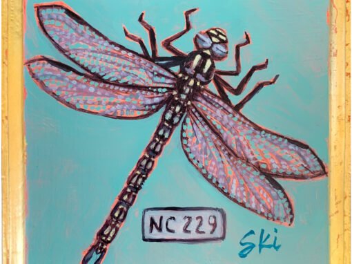 Specimen NC 229 | Dragon Fly