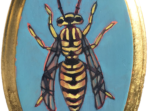 Specimen NC 1555 | Yellow Jacket