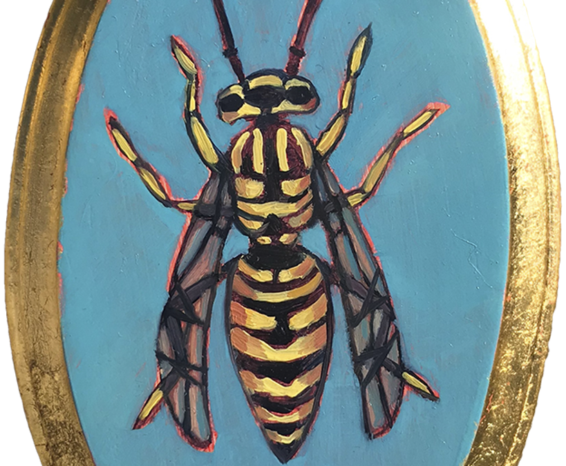 Specimen NC 1555 | Yellow Jacket